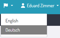EinstellungenAllgemein-SpracheMenüFahne.png